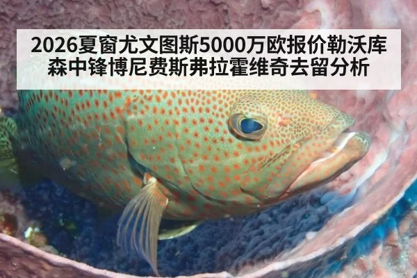 2026夏窗尤文图斯5000万欧报价勒沃库森中锋博尼费斯弗拉霍维奇去留分析