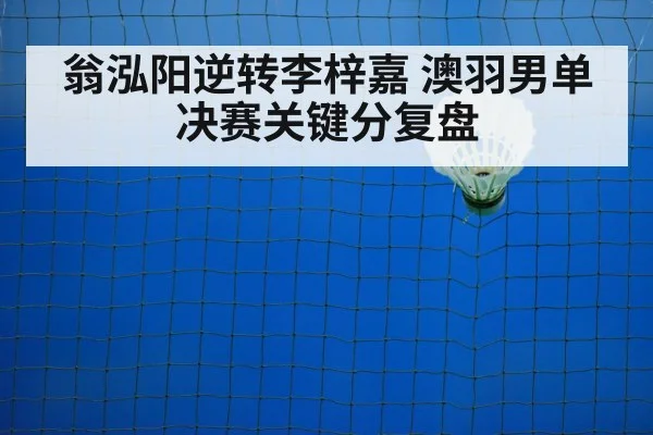 badminton net shot